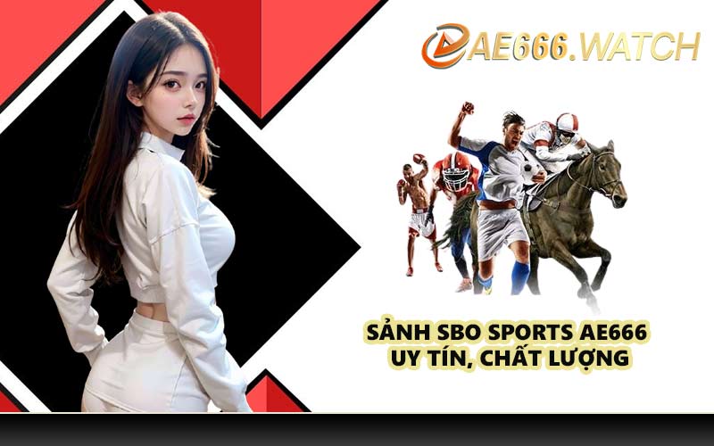 Sảnh SBO Sports AE666 uy tín, chất lượng